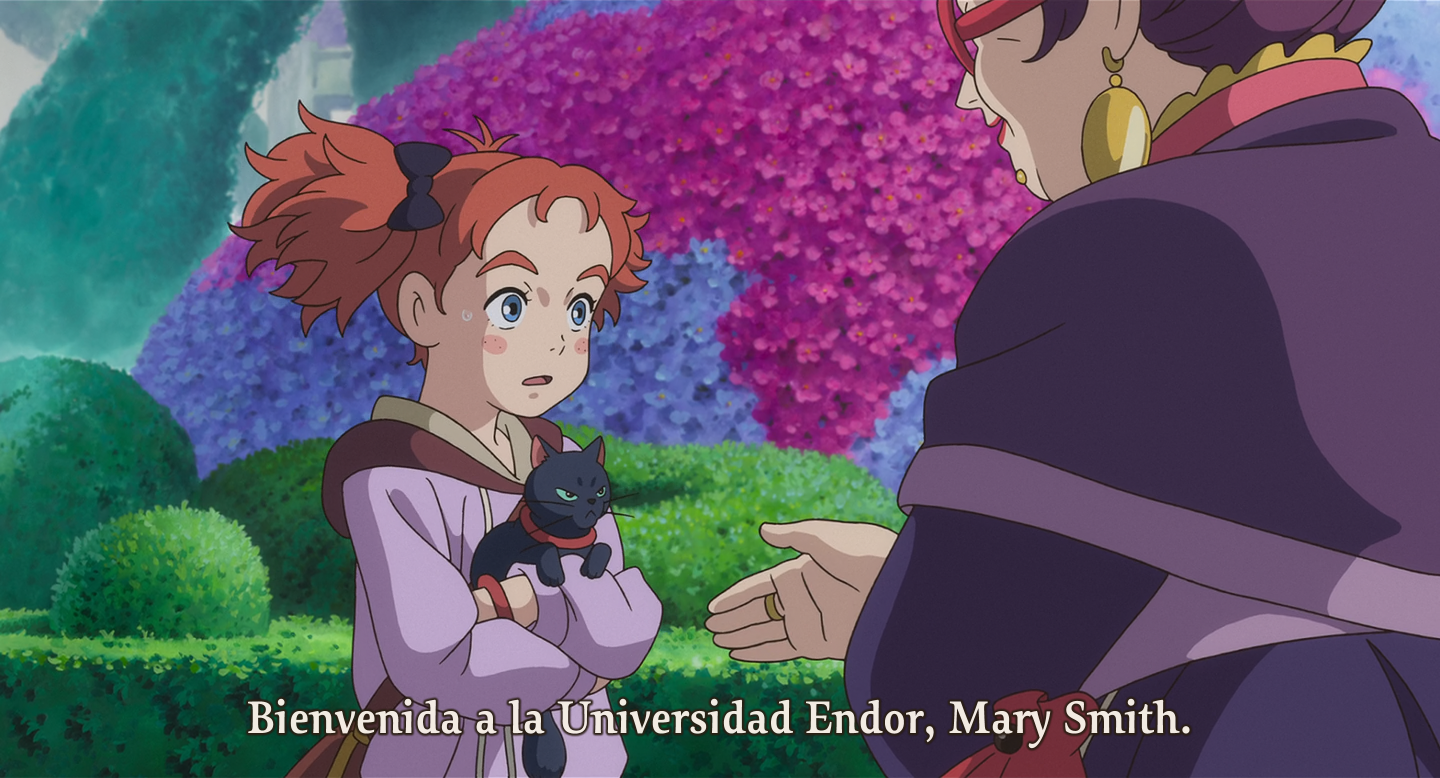 Mary y la flor de la bruja (Hoshizora)